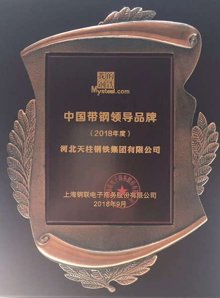 亚洲城集团喜获“中国带钢领导品牌”荣誉称号.jpg